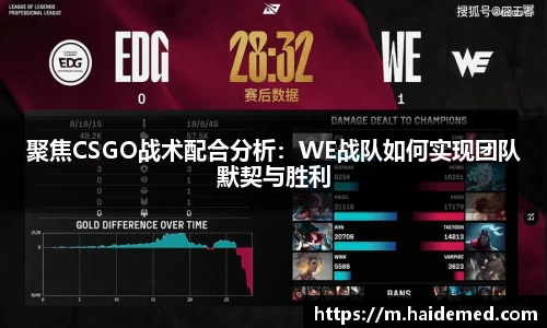 聚焦CSGO战术配合分析：WE战队如何实现团队默契与胜利