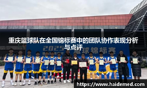 重庆篮球队在全国锦标赛中的团队协作表现分析与点评